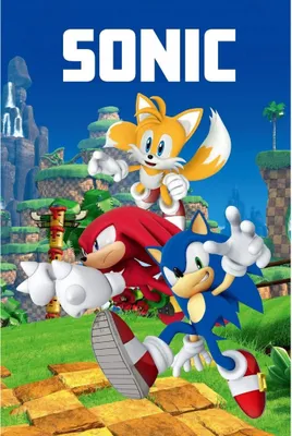 Sonic characters in a green landscape with a blue sky.
