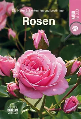 Image de Rosen