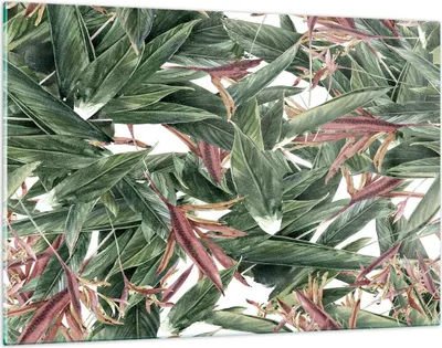 Produktbild von Bilder auf glas - Pflanze Blatt Blume - 120x80cm - Glasbilder - Wandbilder - Kunstdruck - zum Aufhängen bereit - Wanddekoration aus Glas - Glas Bilder - Wandbild auf Glas - Einteilig - GAA120x80-3844
