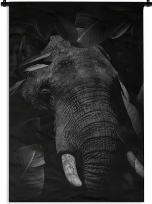 Produktbild von MuchoWow® Wandteppich Wandbehang Botanischer Elefant mit Blättern auf schwarzem Hintergrund - schwarz und weiß 60x90 cm Tapisserie Dekoration Wandtuch - Foto-Teppich - Abwaschbar