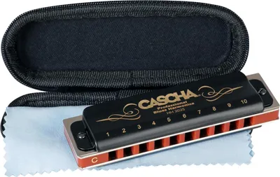 A Cascha Professional Blues Harmonica in C, presented with its black protective case and a cleaning cloth.