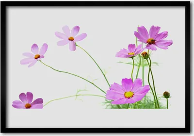 Produktbild von Bild 100x70 MDF-Rahmen Wandkunst Blumen Pflanzen