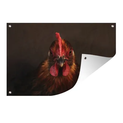 Obrázek produktu pro MuchoWow® Zahradní plakáty - Hlava kohouta zblízka - 60x90 cm - Zahradní dekorace