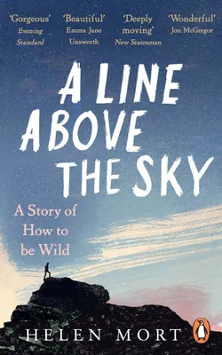 Immagine prodotto di A Line Above the Sky