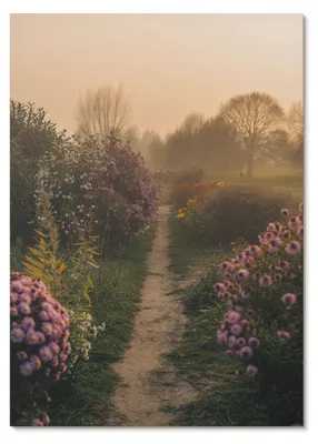 Produktbild von POSTER - 29x42 cm (A3) - Oops - Bezaubernde Gartenwegblumen im Morgennebel - Wandbild für Wohnzimmer Schlafzimmer & Flur, Modernes Poster Wanddeko, Ungerahmt
