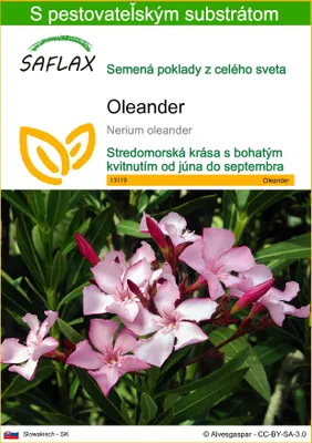 Obrázok produktu pre SAFLAX - oleander - Nerium oleander - 50 Semená - S pestovateľským substrátom bez klíčkov