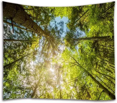Productafbeelding van Wandkleed - Wandtapijt Decoratie - Muur decoreren - Hoge resolutie print - 203 x 153 cm - Natuurprint