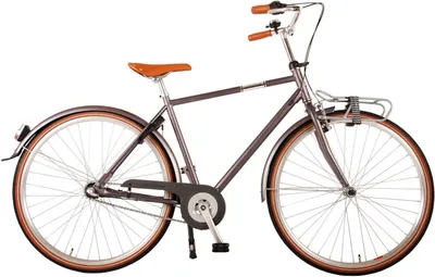 Image de Lifestyle 28 pouces 51 cm Hommes 3G Frein à rétropédalage Gris