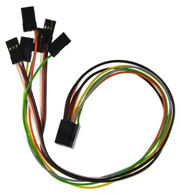 Imagen del producto de Conjunto de cables de 250 mm (3SX, 3X, CORTEX)