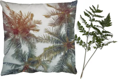 Produktbild von MuchoWow® Zierkissen Sofakissen Wohnzimmer Dekokissen 45x45 cm Palme - Sommer - Tropisch - Schlafpolster - Polster für das Sofa