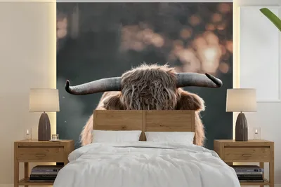 Produktbild von MuchoWow® Fototapete für Wohnzimmer oder Schlafzimmer Wandtapete Vinyl Motivtapete Kuh - Schottischer Hochländer - Hoorn - 280x280 cm - Hintergrundbild