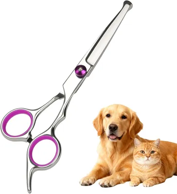 Imagen del producto de Tijeras de seguridad para mascotas, con punta redondeada, de acero inoxidable, unidad individual, para el cuidado del pelaje
