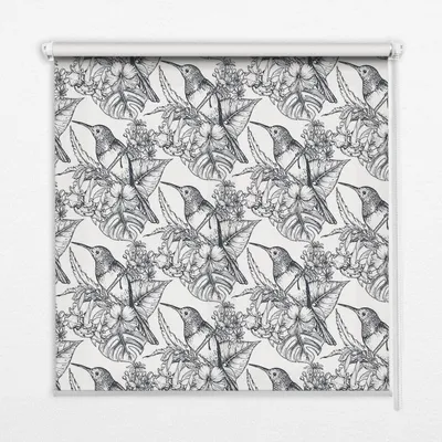 Produktbild von Seitenzug-Rollo Fensterrollo Jalousie - Lichtdurchlässig Springrollos - 80x240 cm - Gezeichnete Blumen
