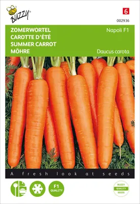 Produktbild von Möhre Napoli F1 | Möhrensamen von Buzzy Seeds