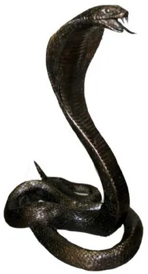Produktbild von Casa Padrino Luxus Bronzefigur Cobra Schlange Antik Bronzefarben 14 x 20 x H. 27 cm - Bronze Skulptur - Dekofigur - Deko Accessoires