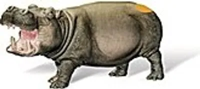 Immagine prodotto di Tiptoi figure di gioco ippopotamo