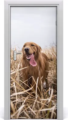 Produktbild von Tulup Türaufkleber 85x205 cm Dekorative Aufkleber Selbstklebend Wasserdichte Tapete Abnehmbar Schlafzimmer Wohnzimmer Wohnkultur - Labrador