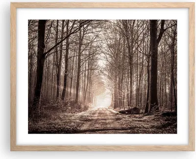 Produktbild von Gerahmtes Poster - Rahmen in heller Eiche - Wald Straße Baum - 50x40 cm - Wand Bild - Wanddeko - Wandbilder - Kunstposter - Wandposter - Bilderrahmen - Bilder - Kunstdruck - Wandbild - P2NAA50x40-3620