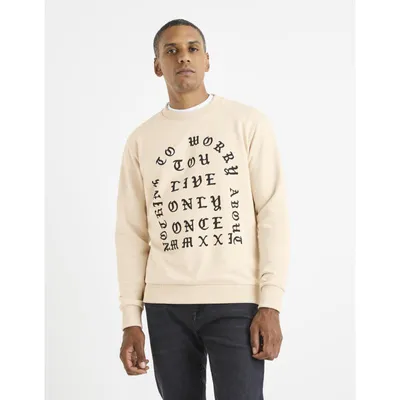 Produktbild von Celio Veprice Sweatshirt 1101877__XXL