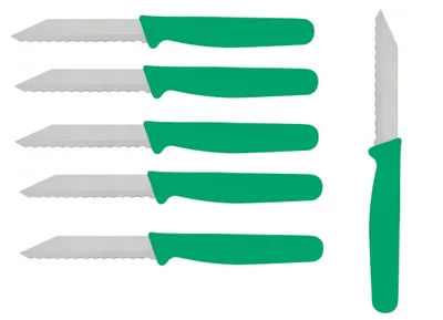 Produktbild von 6 x Brötchenmesser Gemüsemesser Tomatenmesser Wellenschliff 18cm Griff Grün