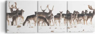 Produktbild von Bild auf Leinwand - Leinwandbild - Hirsch Winter Tierwelt Landschaft - 90x30cm - Wand Bild - Wanddeko - Leinwanddruck - Bilder - Kunstdruck - Leinwand bilder - Wandkunst - CA90x30-3144