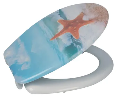 Produktbild von sanicomfort WC-Sitz, Duroplast, mit Absenkautomatik, Toilettensitz passend für alle handelsüblichen WC-Becken (Starfish)