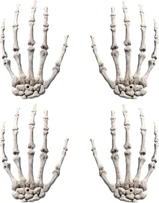 Immagine prodotto di Mano scheletrica realistica, ideale per decorazioni e accessori a tema Halloween, per creare un'atmosfera spaventosa e inquietante