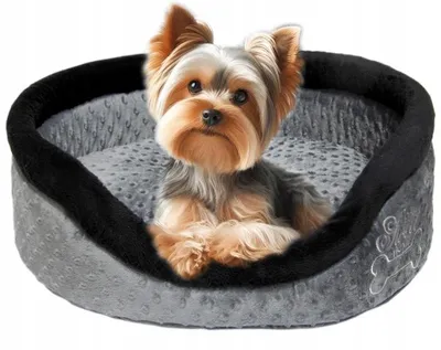 Produktbild von York Shop Hundebett weich für kleine Hunde