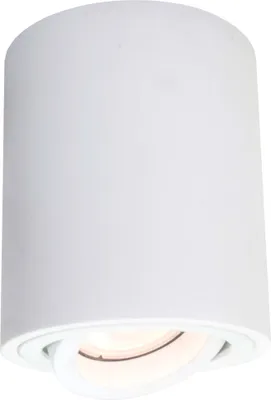 Productafbeelding van Tulon opbouwlamp, wit, GU10 - Light Prestige