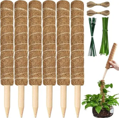 Produktbild von Famanu Pflanzenstütze für Zimmerpflanzen - 30 cm Moosstab für Kletterpflanzen - Set von 6