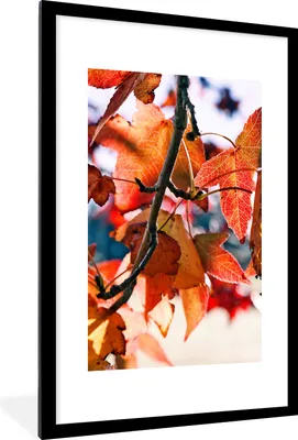 Produktbild von MuchoWow® Gerahmtes Poster Ahorn - Blätter - Rustikal - Herbst 60x90 cm - Poster mit Schwarzem Bilderrahmen Wandposter Rahmen Foto Bilder - Dekoration - Wandposter Wohnzimmer - Hochwertig
