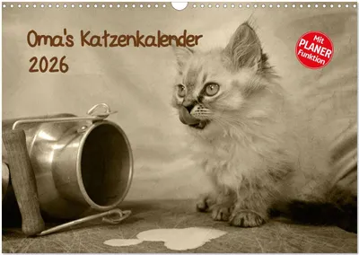 Produktbild von Oma's Katzenkalender 2026 (Wandkalender 2026 DIN A3 quer), CALVENDO Monatskalender