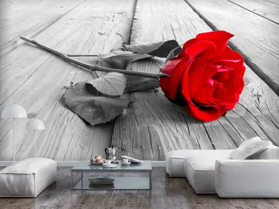 Produktbild von Vlies Fototapete Rose 400x280 cm Tapeten Wandtapete XXL Holzoptik grau b-B-0025-a-a
