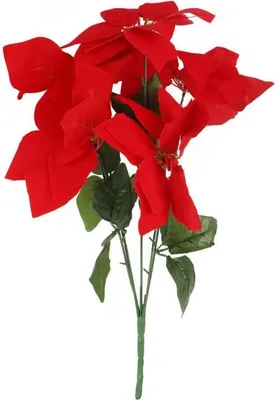 Image de Bouquet De 5 Poinsettias En Velours 52 Cm Rouge