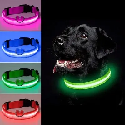 Produktbild von LED Hunde Halsband - Größe S - USB wiederaufladbar - 100% wasserdicht - Grün - Leuchtendes Halsband für Hunde - 3 Leuchtmodi - Verstellbar 28 - 40 cm