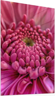 Produktbild von Glasbild 40x60cm in XXL für Wohnzimmer, Schlafzimmer Motiv Nahaufnahme Blume