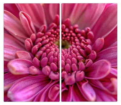 Produktbild von Spritzschutz Herdabdeckplatte Schneidebrett aus Glas Nahaufnahme Blume 2-Teilig (60x52cm)
