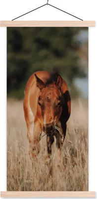 Produktbild von MuchoWow® Textilposter Pferd - Sonne - Landschaft 60x120 cm mit holzfarbenen Rahmen - Holz