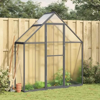 Image de vidaXL Serre avec cadre de fondation anthracite 169x58x195 cm Alu