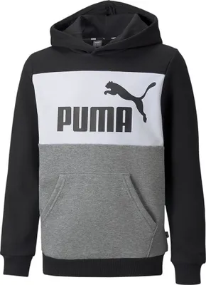 Produktbild von Puma Essentials+ Colorblock Fl Sweatshirt Grau 5-6 Years Junge Grau 5-6 Years
