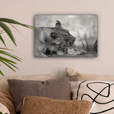 Produktbild von MuchoWow® - Leinwandbilder - Löwin - Jungtier - Schwarz, Wandbild, Wanddeko Bilder Wohnzimmer, 30x20 cm