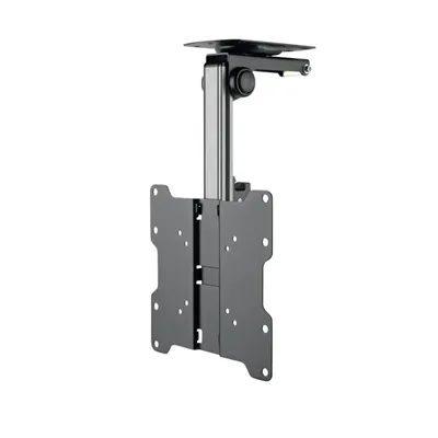 Image de Schwaiger DEH 17"-37" schwarz max.20KG KLAPPBAR