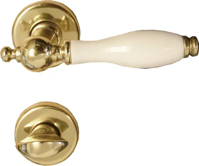 A brass and white porcelain door handle set against a white background.