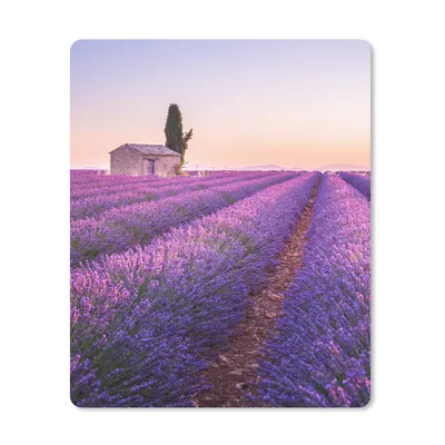 Produktbild von MuchoWow® Mauspad Mousepad Lavendel - Sonnenuntergang - Lila - Blumen 19x23 cm - Mousepads - Maus Mat - Pad - Mausunterlage - Mauspads - Spielen
