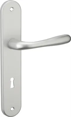 Image de Ensemble de poignées pour porte de chamnbre Pelope trou de clé, carré 7mm, entr'axes 195mm, argent - THIRARD