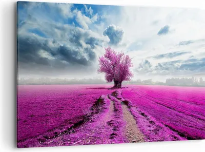 Produktbild von Bild auf Leinwand - Leinwandbild - Heidefeld Baum Wolken Landschaft - 100x70cm - Wand Bild - Wanddeko - Leinwanddruck - Bilder - Kunstdruck - Leinwand bilder - Wandkunst - AA100x70-2547