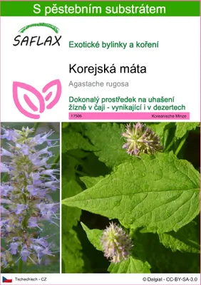 Obrázek produktu pro SAFLAX - korejská máta - Agastache rugosa - 1200 Semena - S pěstebním substrátem bez klíčků