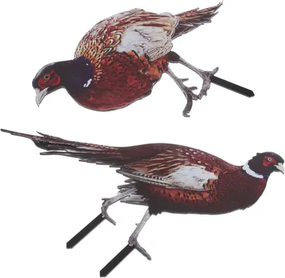 Produktbild von 2 Stück Fasanenfiguren als Gartendekoration, Gartenaccessoire und Außendekoration, Fasanenornament, Fasanendeko, Hühnerschild, Gartenornament, Verandahuhn und Hühner-Acryl-Gartenornament