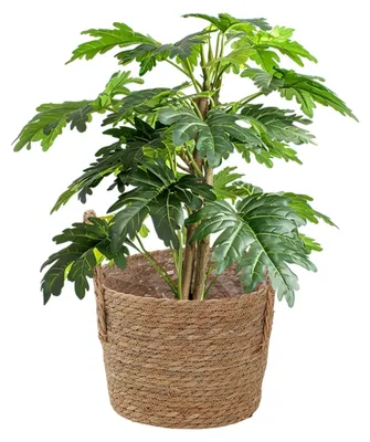 Imagen del producto de Cesta de mimbre tejida con asa para plantas