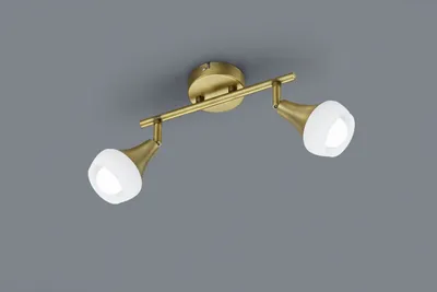 Obrázek produktu pro TRIO 803100204 Trumpet Spot E14 2x40W